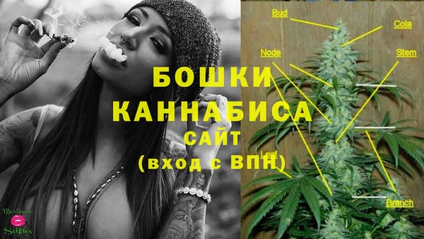 COCAINE Богородицк