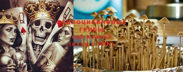 spice Богданович
