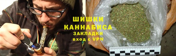 spice Богданович