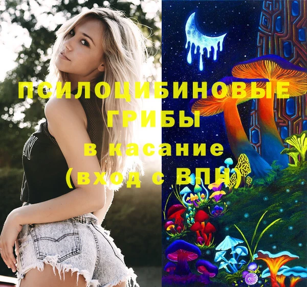 прущая мука Богородск