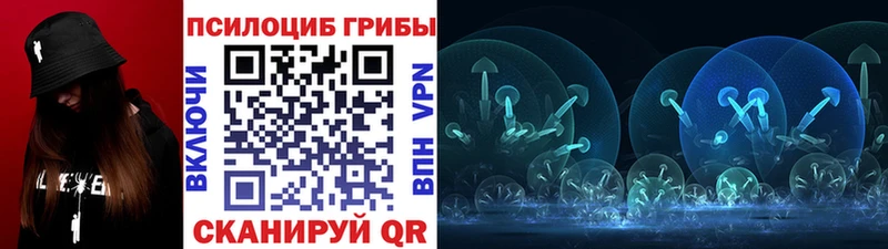 Псилоцибиновые грибы Psilocybine cubensis  Дмитровск 