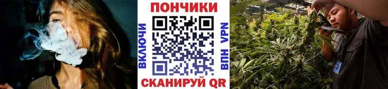 Бошки марихуана семена  сколько стоит  Дмитровск 